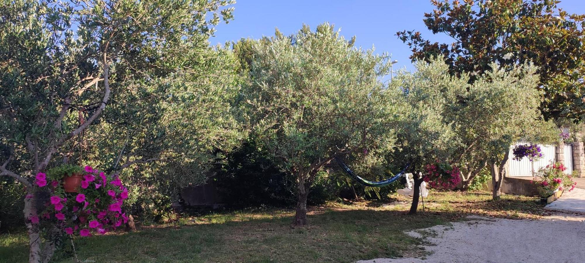 Delux Apartments Villa Mihaela Banj Luaran gambar